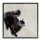 Stupell Industries Black Cat Watercolor Framed Giclee Wall Art Design by Melissa Wang